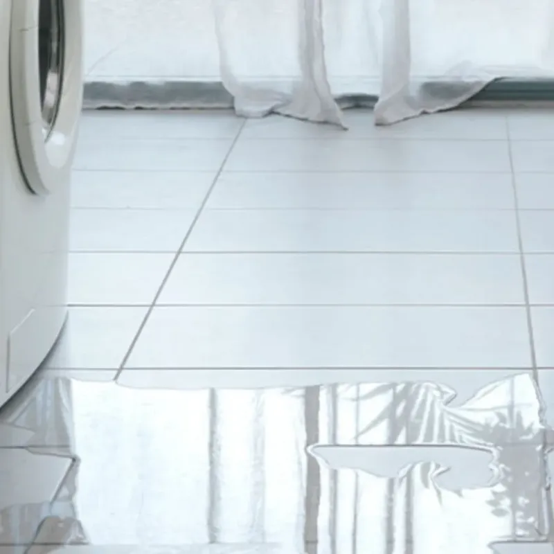 Appliance Leak Cleanup in Lucas, TX
