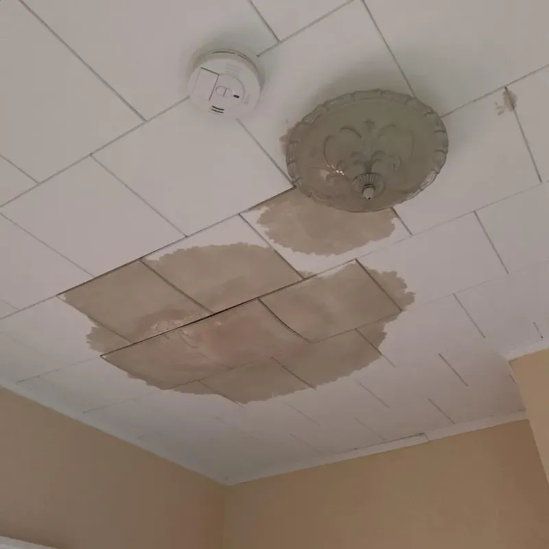 Ceiling Water Damage Repair in Lucas, TX