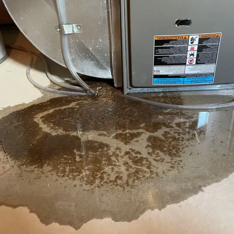 Pipe Burst and Leak Restoration in Lucas, TX