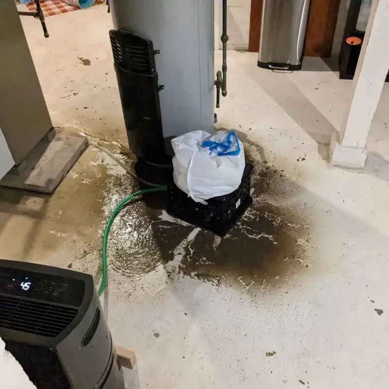 Sewage Backup Cleanup Service in Lucas, TX